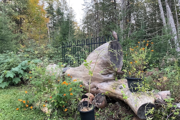 Enceinte de lâhĂ©bergement