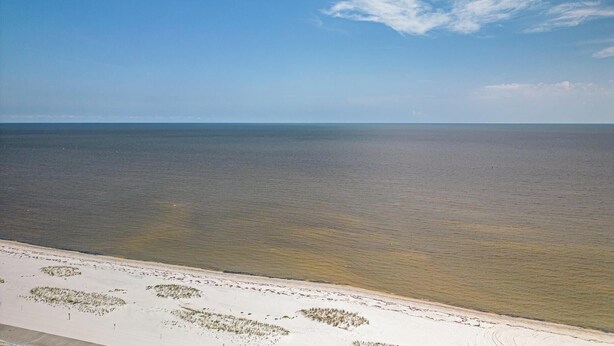 A beach with clear skies and calm waters. - Parrothead Escape-3BD/2BA- 1 block from beach - Pet Friendly (Gulfport)
