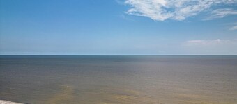 Parrothead Escape-3BD/2BA- 1 block from beach - Pet Friendly