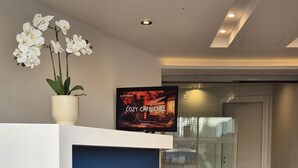 En receptionsdisk med en blå facade, en orkidé i potte og et fjernsyn, der viser en reklame for en hyggelig café.