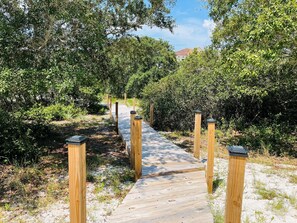A wooden boardwalk through a dense, green landscape with trees and shrubs.
