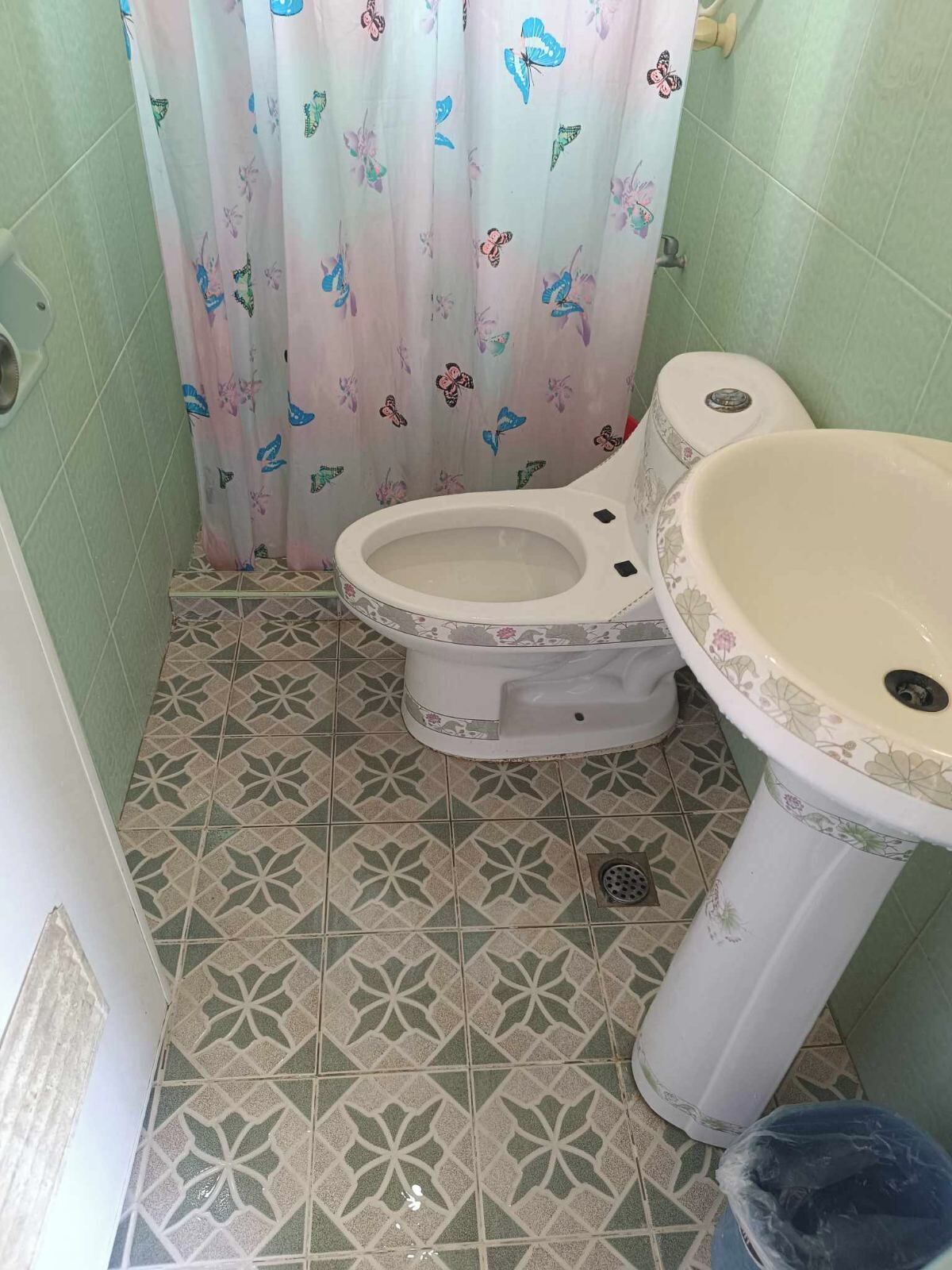 Un baño con inodoro y lavamanos, baldosas de suelo estampadas y una cortina de ducha con motivos de mariposas.