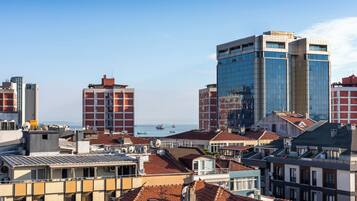 Exclusive Suite, 1 Queen Bed with Sofa bed | View from room