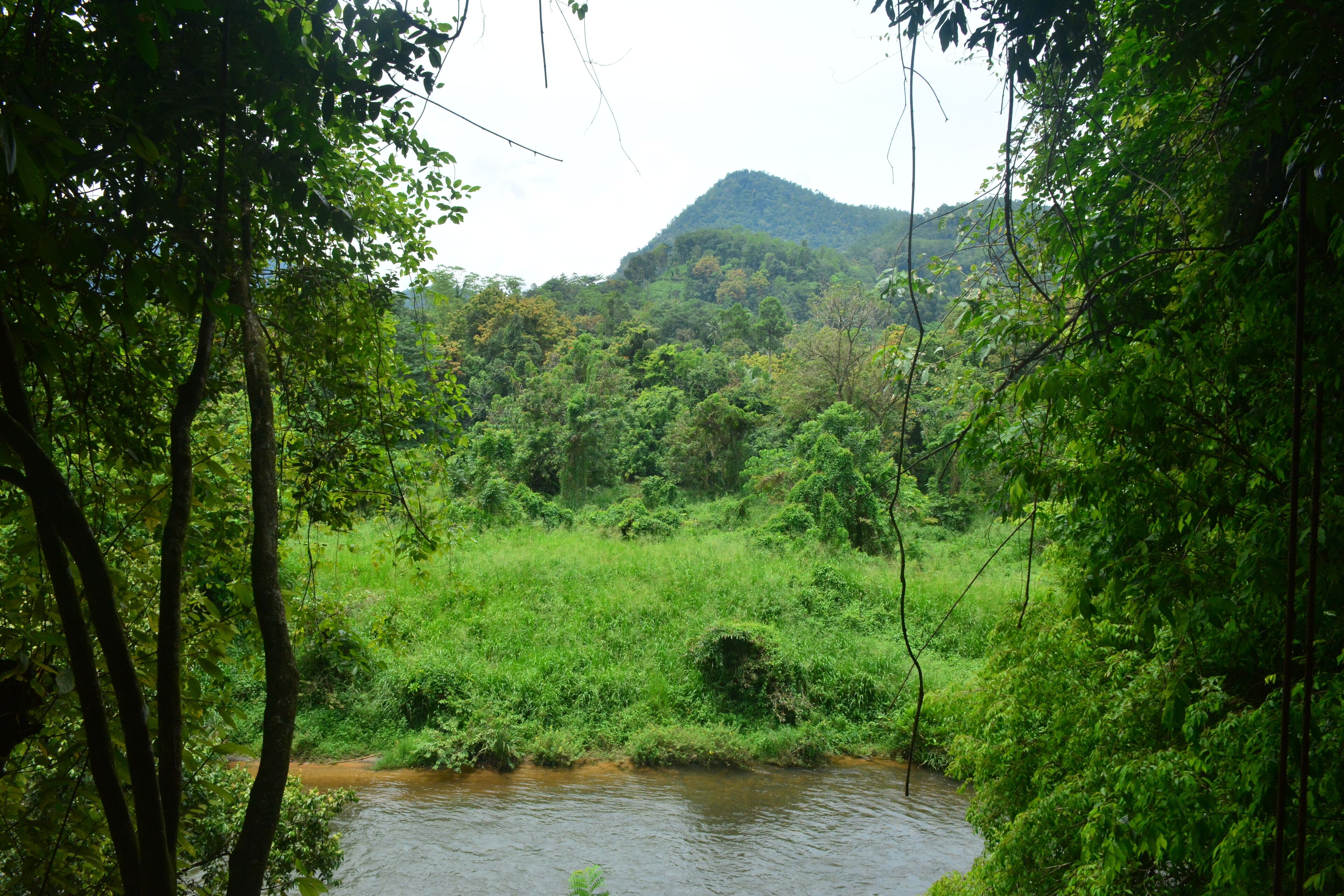 Deluxe Room, River View | Balcony view
