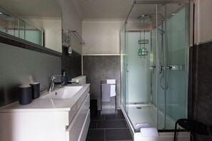 Regadera, secadora de cabello, bidet, toallas
