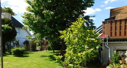 1 Bedroom Apartment in Zierow