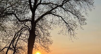 NEW Cozy Lakeside Retreat, Gorgeous Sunset Views and Firepit!