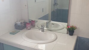 Een badkamer met een witte wastafel, een spiegel en een douche. Er staan toiletartikelen op het aanrecht en een potplant op de vloer.