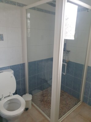Haartrockner, Handtücher, Seife, Toilettenpapier