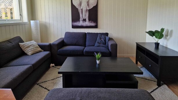 Ein Wohnzimmer mit einem dunkelgrauen Sofa, einem schwarzen Couchtisch und einem Elefantenbild an der Wand.