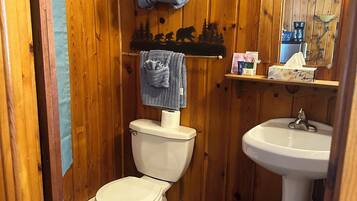 Shower, towels, toilet paper