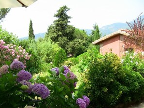 Property grounds - House "Il Metato" amongst colours and perfumes of the Mediterranean (Camaiore)