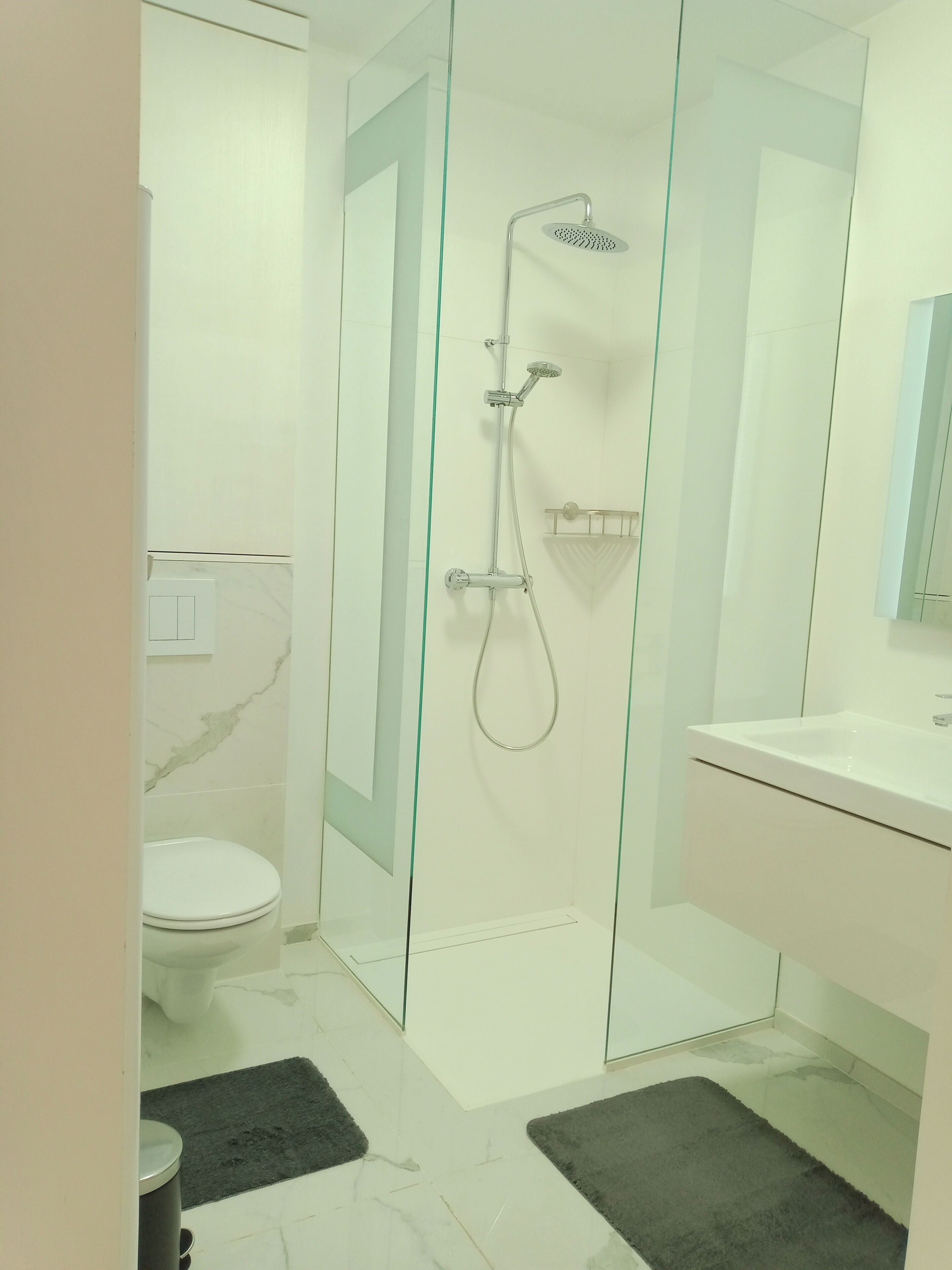A modern bathroom with a glass-enclosed shower, a toilet, and a sink.