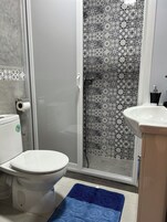 Ducha, cabezal de ducha tipo lluvia, secador de pelo, toallas