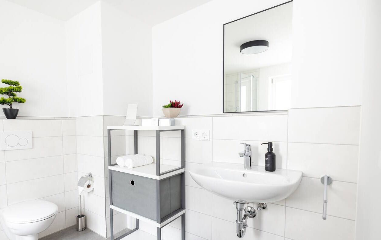 A modern bathroom with a white sink, toilet, and a mirror above the sink. There is a small plant on the sink and a toilet paper holder on the wall.