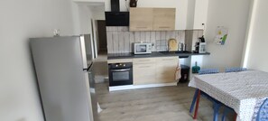 Fridge, microwave, oven, stovetop - Apartment on the wine route (Rouffach)