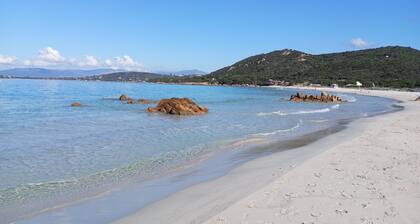 Villa Porticcio 4 Chambres Piscine Privée