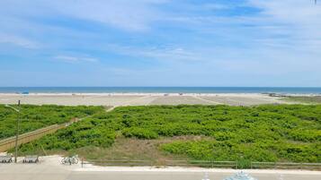 Beach/ocean view