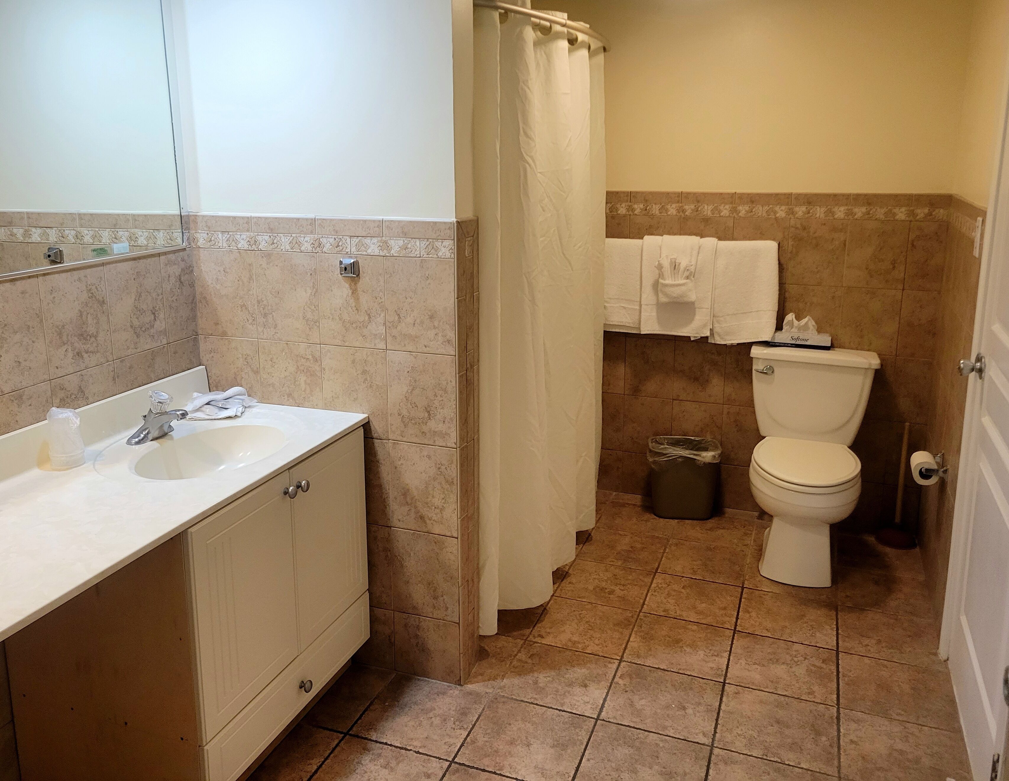 A bathroom with a sink, mirror, toilet, and shower curtain.