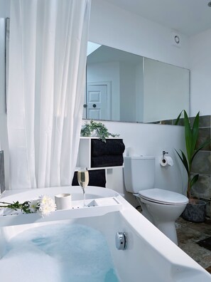 Hair dryer, towels, soap, shampoo