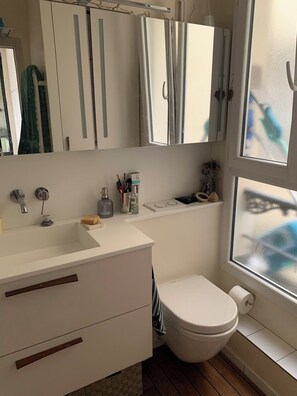 Chuveiro, secador de cabelo, sabonete, papel higiênico