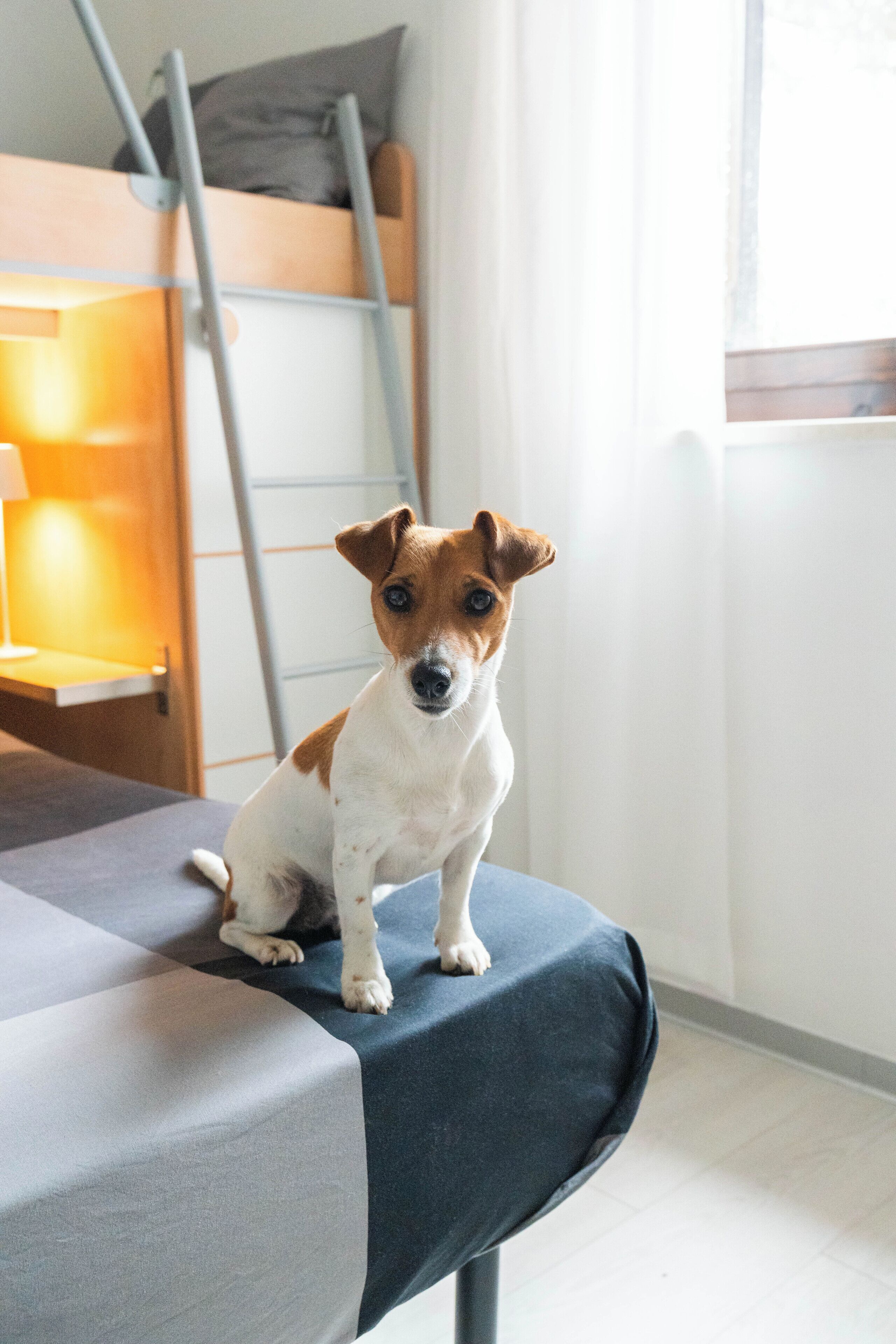 熨斗/熨衫板、Wi-Fi、床單