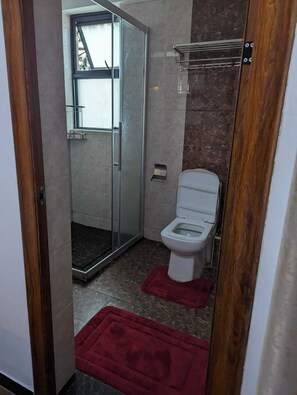 Dusche, Handtücher, Seife, Toilettenpapier