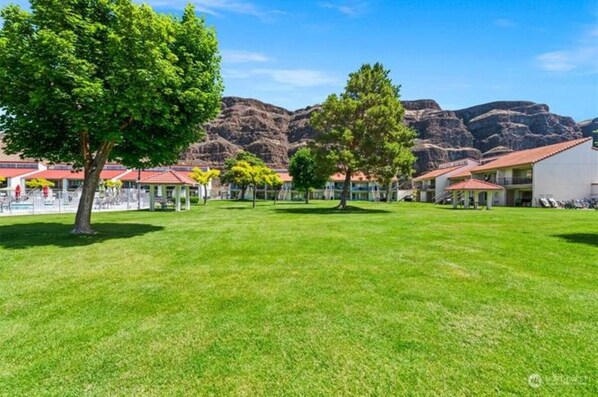 A grassy area with trees and buildings in the background.