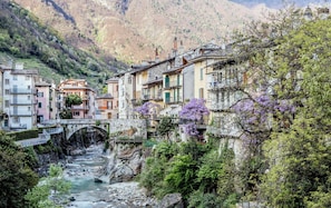 Property grounds - San Juan one step away from downtown (Chiavenna)