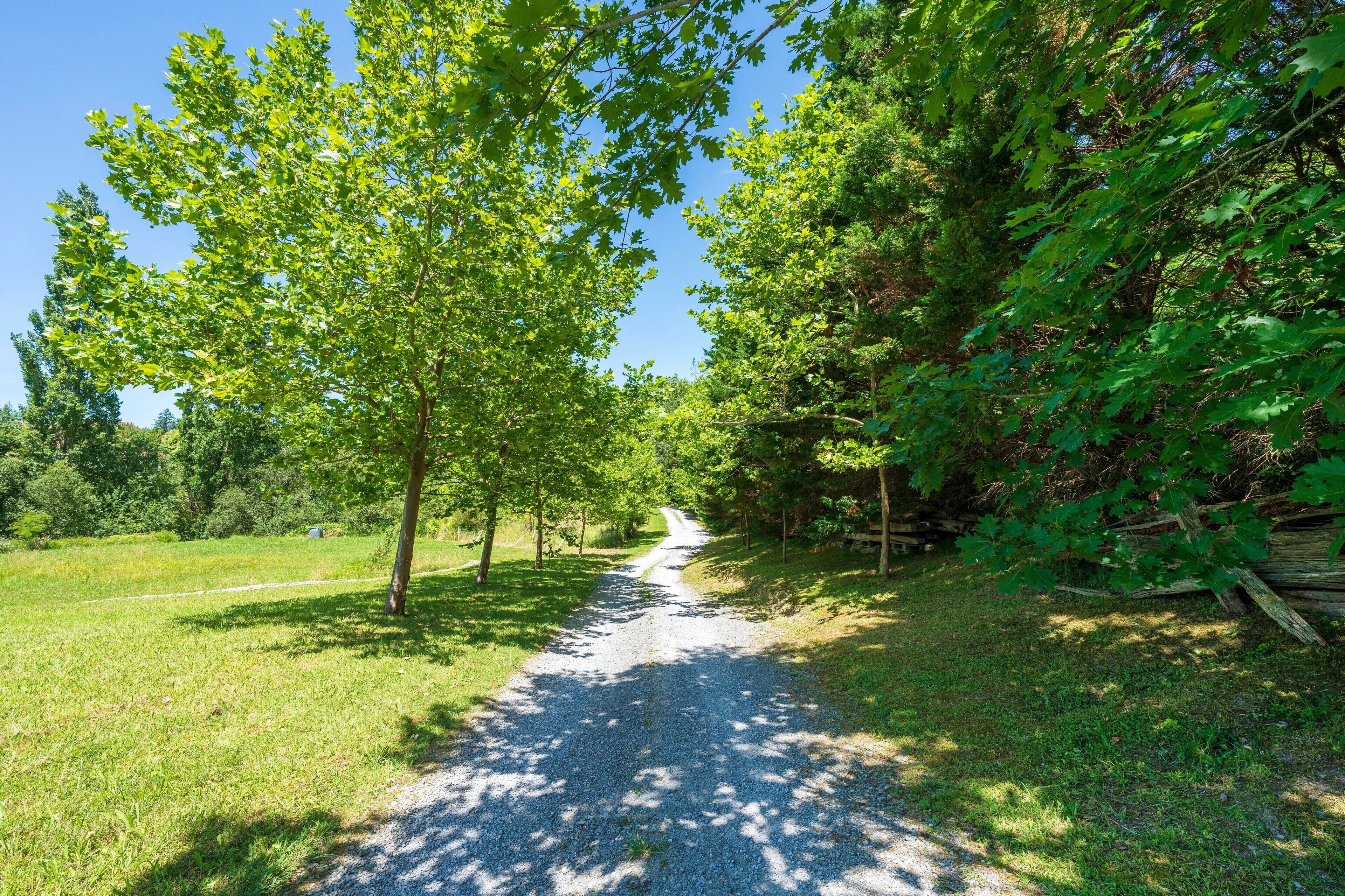 A gravel path flanked by trees and grass, leading into a wooded area.