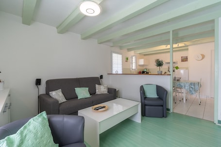 TV, DVD player. Holiday Home 'L'Olivier' with Private Terrace, Wi-Fi and Air Conditioning