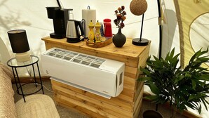 A compact living space with a kitchenette area, including a coffee maker, kettle, and small appliances. There is a potted plant and a lamp on a side table.