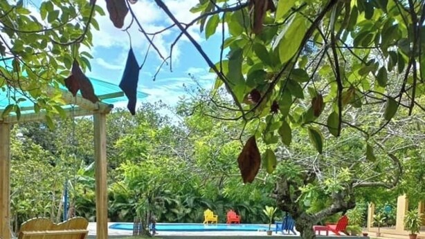 En välskött trädgård med en träbänk, en blomkruka gjord av ett däck och en fri utsikt över en swimmingpool i bakgrunden.