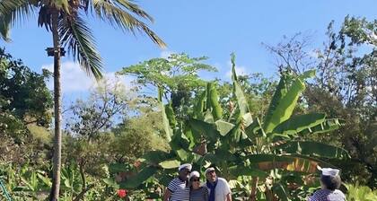 An Oasis in the City! THE FINQUITA SDE