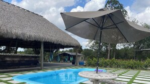Un área de piscina con una estructura de techo de paja, un espacio de descanso cubierto y una mesa decorativa con diseño de caballito de mar.