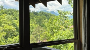 A window with a view of a dense forest and a mountain in the distance.