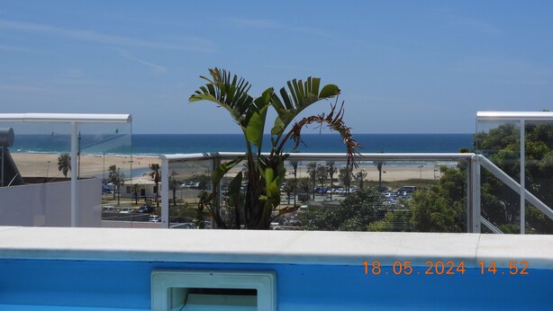 Un balcon avec vue sur une plage, des palmiers et un ciel dégagé.
