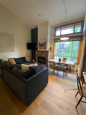 Smart TV, fireplace, books