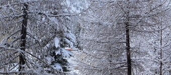 Chic mountain ski-in condo. Cozy gas fireplace, luxuriously appointed.   