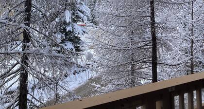 Chic mountain ski-in condo. Cozy gas fireplace, luxuriously appointed.