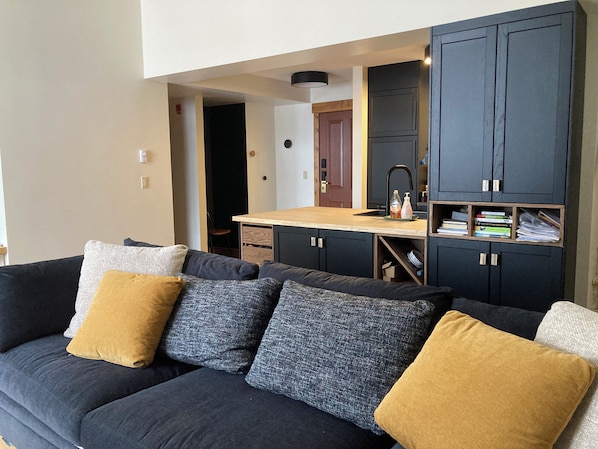 Smart TV, fireplace, books