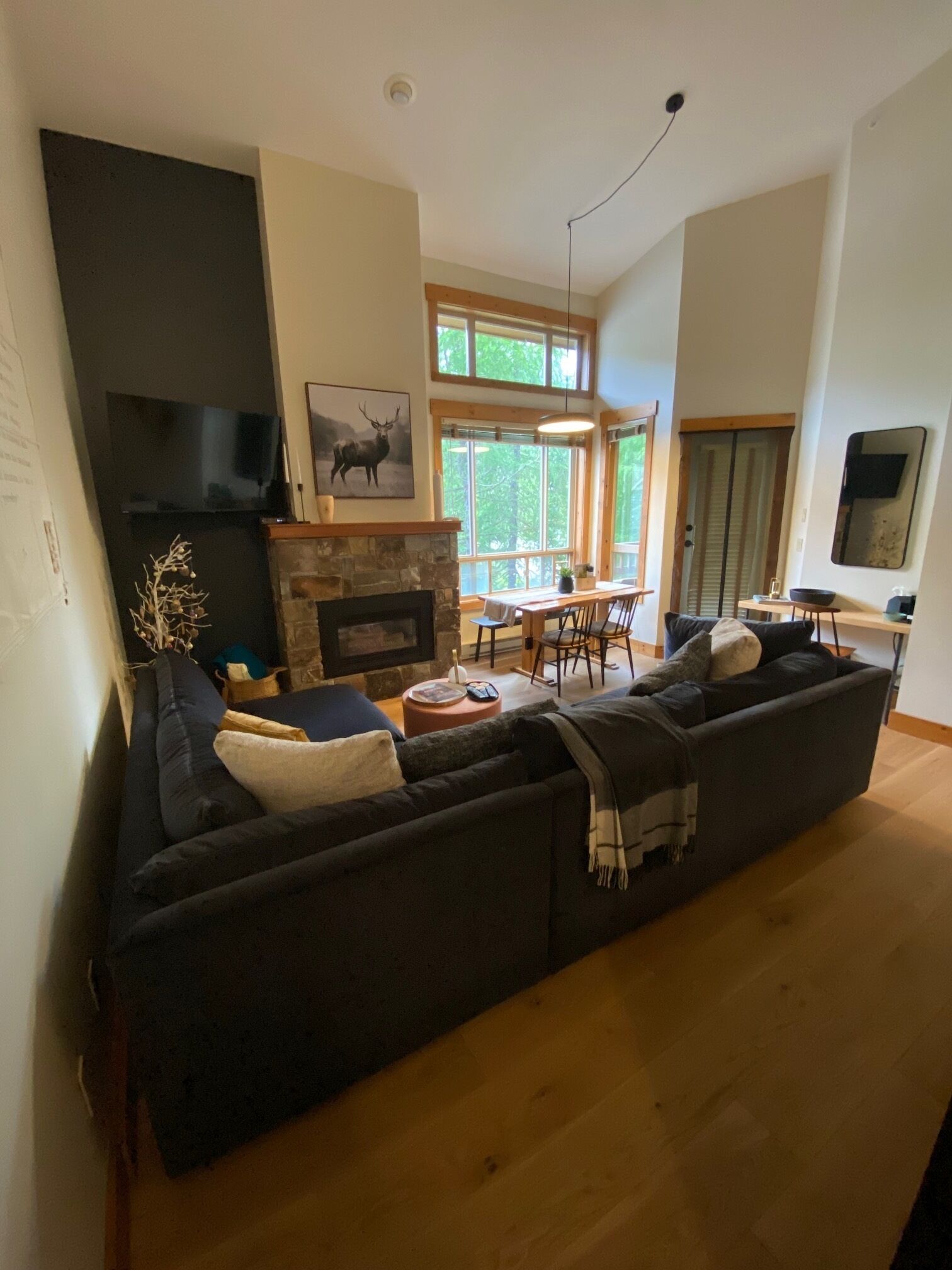 TV connectée, cheminée, livres