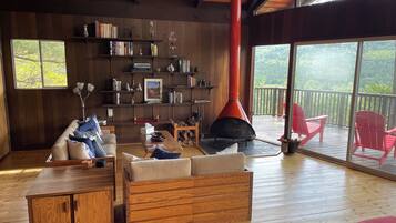 تلفزيون ذكي، مدفأة