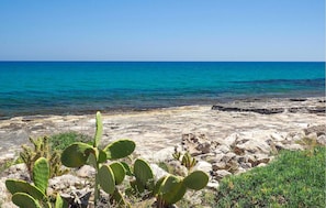 A rocky shoreline with cacti and a clear view of the sea. - Lovely home in Marina di Modica (Marina di Modica)