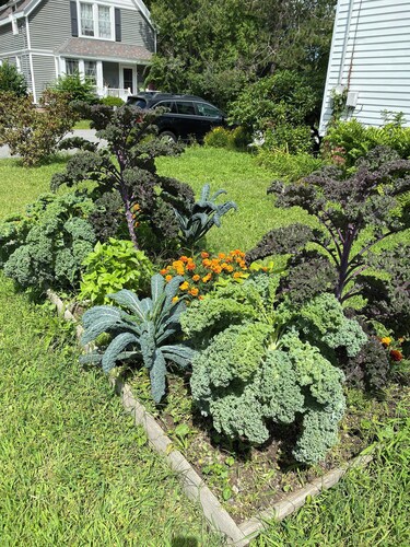 Sunny historic home on quiet street. Walk to all of Freeport Village!