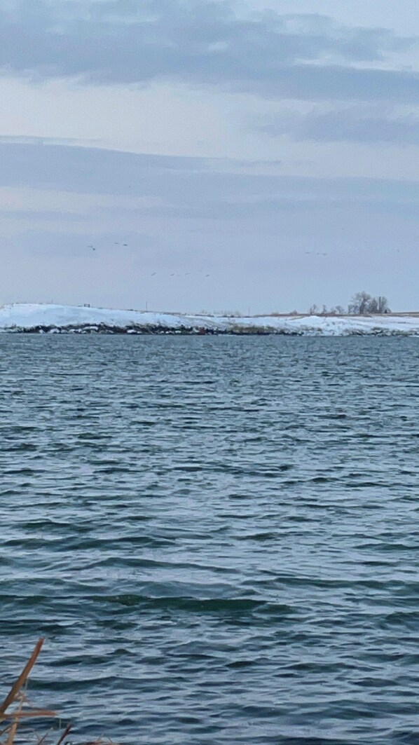 Una masa de agua tranquila con una tierra nevada en la distancia.