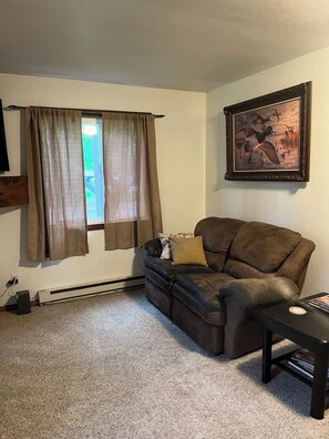 Fernseher, Stereoanlage