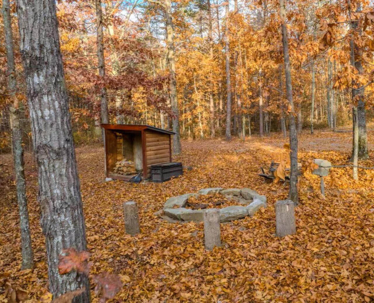 A rustic cabin surrounded by a forest with fallen leaves.