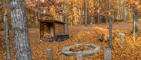 A rustic cabin surrounded by a forest with fallen leaves.