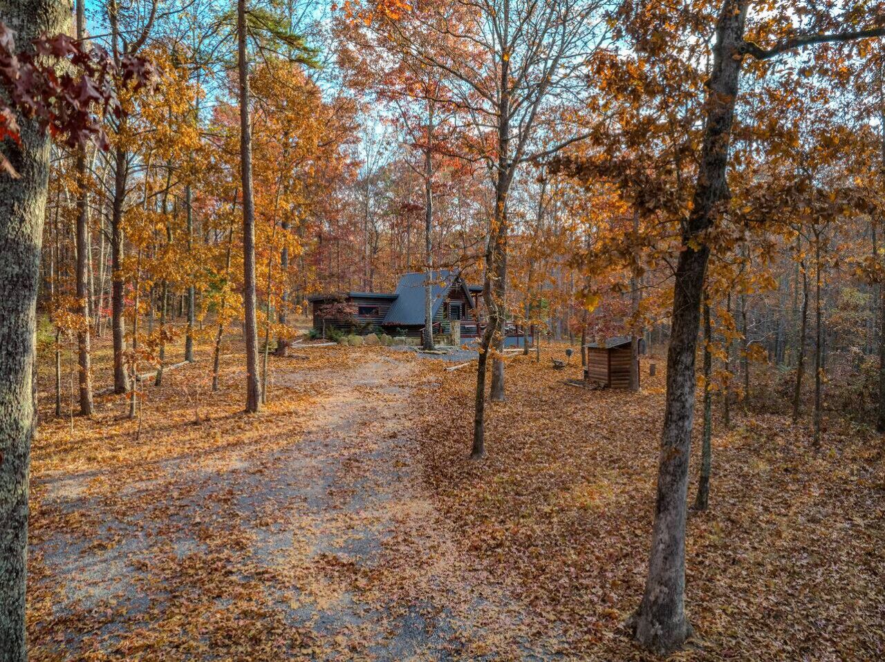 Una cabaña en un bosque, con un sendero de tierra que la lleva a ella.